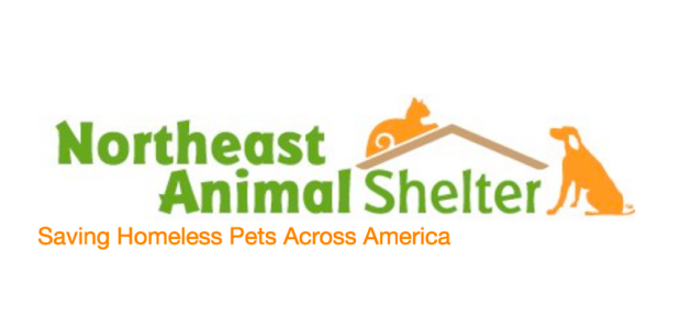 Northeast-animal-shelter | GraVoc